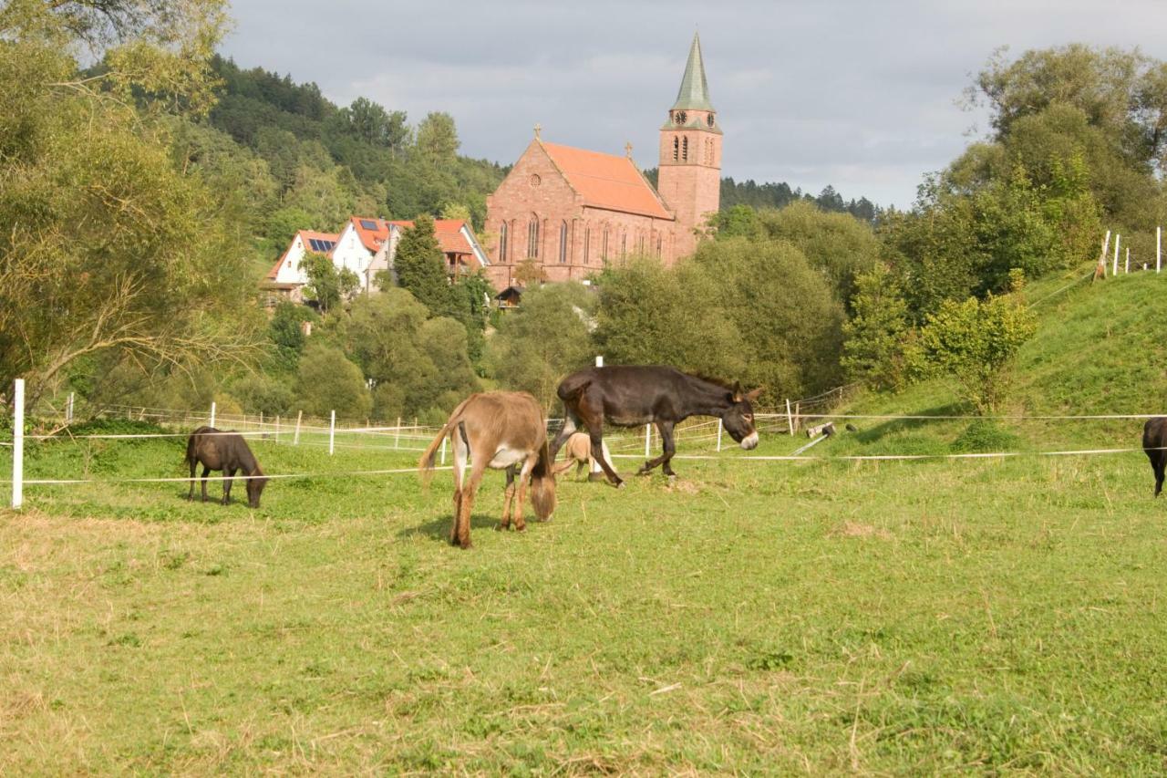Zimmern ob Rottweil Ferienwohnung Spreter מראה חיצוני תמונה